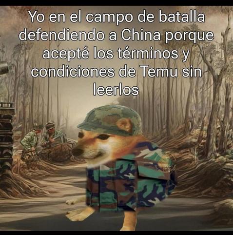 Meme humorístico: Fotografía de un perro de raza shiba inu (u otro similar) vestido con un traje de camuflaje militar y un casco, mirando hacia la cámara con expresión seria. El texto sobre la imagen dice: 'Yo en el campo de batalla defendiendo a China porque acepté los términos y condiciones de Temu sin leerlos'. El contraste entre el perro adorable y el escenario bélico exagera la broma sobre aceptar acuerdos legales sin revisarlos.