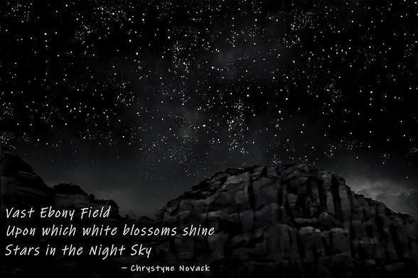 Night Blossoms Haiku is overlayed on a Black and White nighttime scene in the desert. A sky full of stars shines above the red rock formations in Sedona, Arizona.

Vast Ebony Field
Upon which white Blossoms shine
Stars in the Night Sky
----Chrystyne Novack