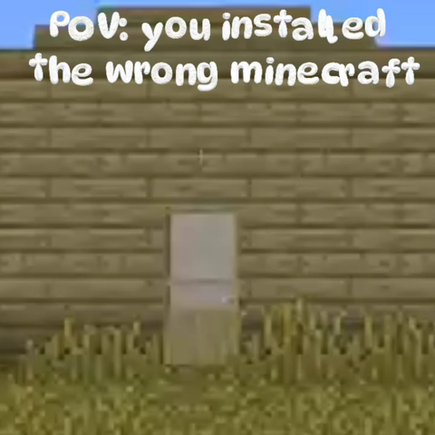 POV: you installed the wrong minecraft