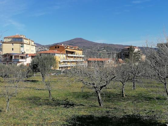 A landscape view with buildings in the background.