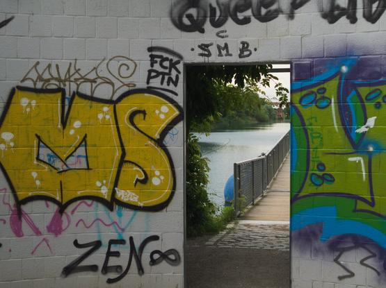 A dore in a graffityed wall leading into a park