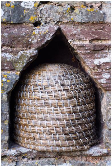 Color photo of a skep sitting in a void in a very old stone wall.