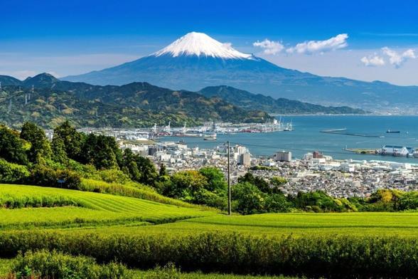 静岡県台湾事務所が「FOOD TAIPEI 2025」に出展 | 静岡県のプレスリリース
