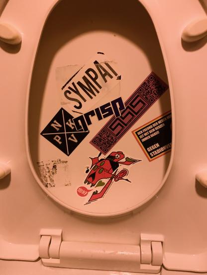 A picture of the lid of a toilet covered in stickers.  One of them says "Qrisp".