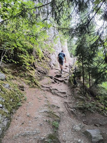 I - photographed from behind - walk on a rooty path leading upwards. Theres a small passage secured by ropes in front of me.