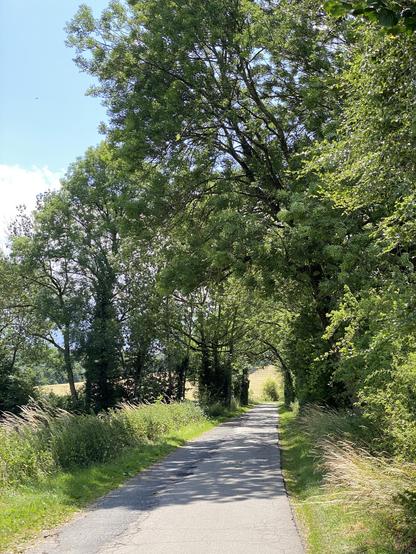 Schöne und stille Wege zum Radfahren hinter Aachen nach Belgien rein.