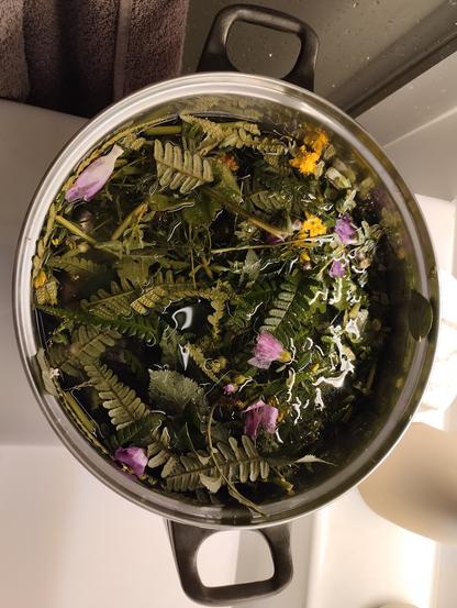 Foto cenital de pota com àgua, ervas e flores.