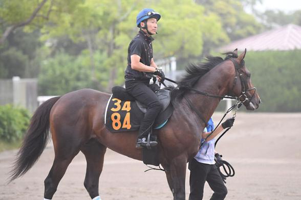【ラジオＮＩＫＫＥＩ賞・先手必勝】２戦連続逃げ切りのトレサフィールが〝自然体の競馬〟と〝ベテランの手腕〟で初戴冠へ！（東スポ競馬） - Yahoo!ニュース - Yahoo!ニュース