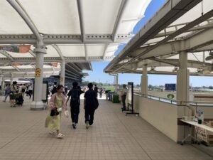 6月3週のレース回顧〜これにて東京阪神開催は終了！！いよいよ夏競馬の本番へ〜 | 競馬はビジネスである