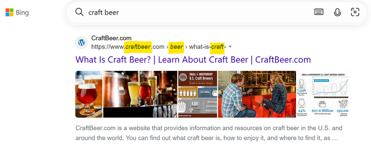 A Bing result for "craft beer". The URL is partly in italics for the search term: "https://www.craftbeer.com > beer > what-is-craft-"