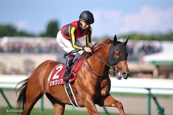 22年皐月賞馬ジオグリフの全弟がデビュー！【今週出走予定の2歳馬情報】（競馬ラボ） - Yahoo!ニュース - Yahoo!ニュース