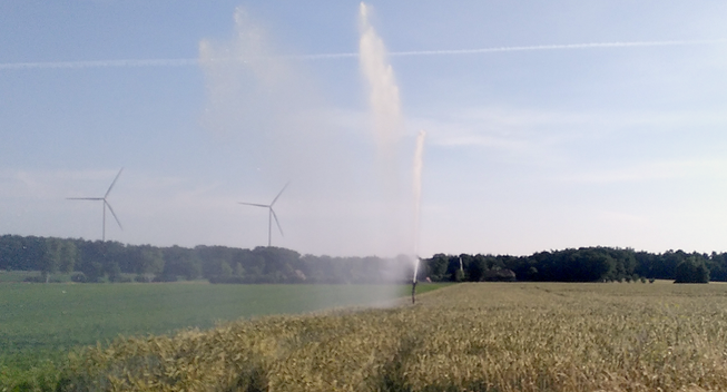 Foto eines fast goldgelben Kornfelds, das bei strahlendem Sonnenschein künstlich beregnet wird. Im Hintergrund grüne Felder, ein Wald, Windkraftanlagen und blauer Himmel mit einem Kondensstreifen.