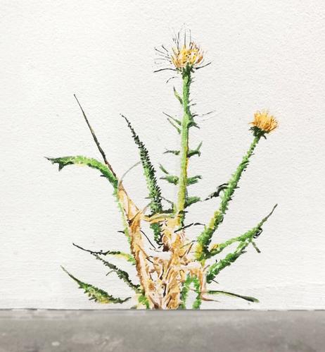 Mural painting by Aurel Porté depicting an AI generated wild plant.