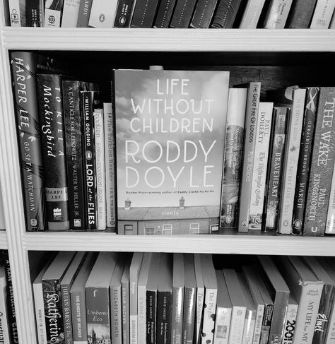Shows the book on a shelf in front of other modern fiction books.