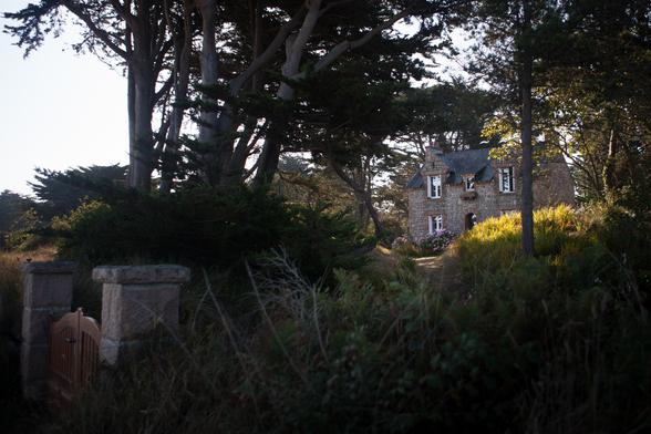 A quaint stone house nestled among tall trees and greenery, with a winding path leading to it.