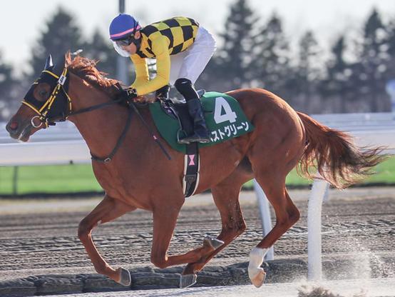 地方競馬の登竜門となる一戦 飛躍をのぞむ有力馬を一挙紹介（netkeiba） - Yahoo!ニュース