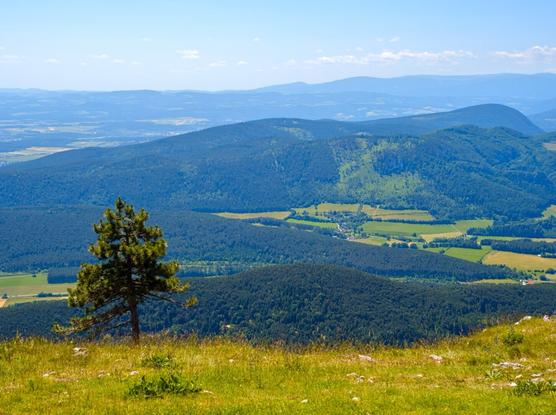 View from the hohe wand, lower austria