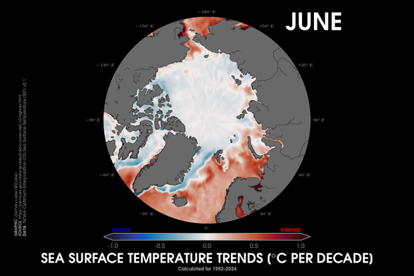 Polar stereographic map of sea surface temperature trends for June from 1982 to 2024 over the Arctic. There is a long-term warming in both the Atlantic and Pacific.