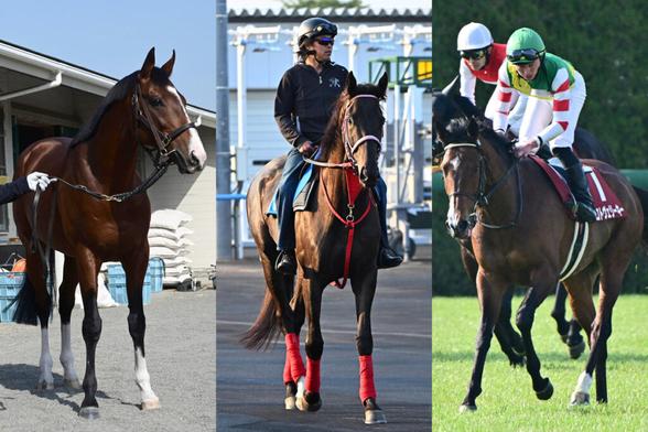 【函館記念展望】ハンデ確定！ ２８年ぶりの６月開催は重賞勝ち馬が１頭だけで波乱含みの様相（東スポ競馬） - Yahoo!ニュース - Yahoo!ニュース