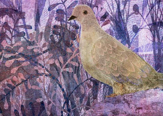 Against a background of swirling pinks and purples, silhouettes of abundant flowering plant life blooms. In the foreground, perched on a peaceful, abstract face, a pale taupe mourning dove rests.