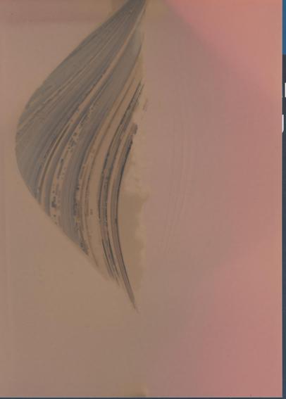 Photographic paper from a pinhole camera showing the paths of the sun over 6 months