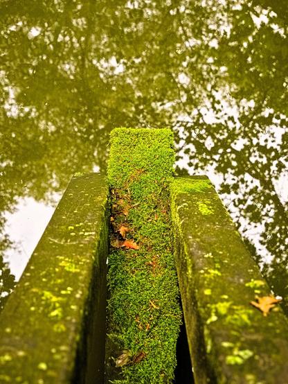 One wooden beam is covered in moss, the stone ones on the left and right are not. Water can be seen beneath them. The picture consists mainly of the colours brown and green. Even the water is rather green because the surrounding trees are reflected in it.