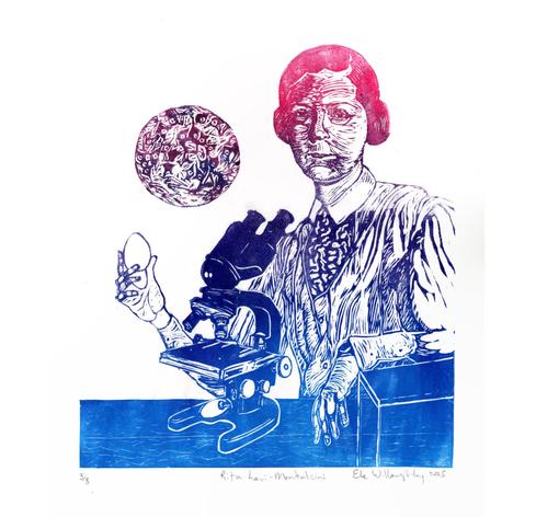 In a gradient of magenta-red at the top to navy blue at the bottom, this is my linocut print of of neuroscientist Rita Levi-Montalcini in 1940, at a desk with compound binocular microscope, leaning on an incubator, holding an egg and looking at the viewer. Behind her is a large circular image of a photograph of nerve cells she took with this microscope.