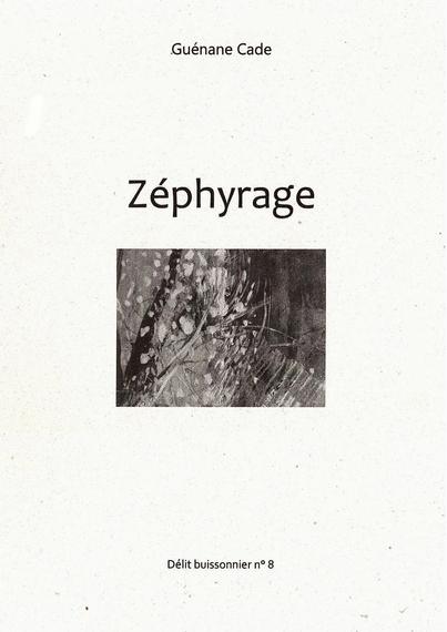 Couverture de Zéphyrage de Guénane Cade, Délit buissonnier n°8, collection de tirés à part de la revue Nouveaux délits, détail d'une huile de Patrice Bénassy
