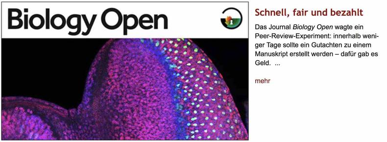 Foto eines Titelblatt-Ausschnitts der Zeitschrift "Biology Open" mit einem Teil eines lila und hellblau fluoreszierenden Gewebeschnitts. Rechts daneben Überschrift "Schnell, fair und bezahlt" des im Post verlinkten Artikels, darunter der Vorspann mit dem Text: "Das Journal Biology Open wagte ein Peer-Review-Experiment: innerhalb weniger Tage sollte ein Gutachten zu einem Manuskript erstellt werden – dafür gab es Geld ..."