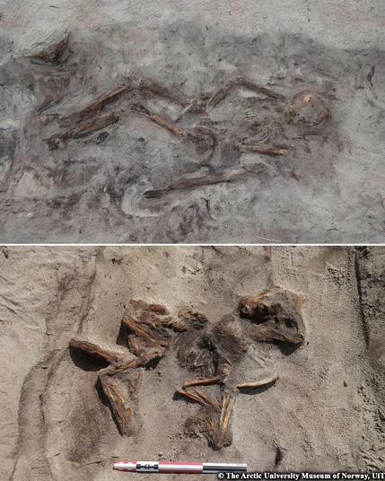 Viking-era boat burial unearthed in Norway reveals 1,100-year-old remains of woman and her dog

Archaeologists from the Arctic University Museum of Norway have uncovered a rare Viking-age boat burial on Senja Island, along Norway’s northern coast. The grave, dated to around 900–950 CE, contained the skeleton of a woman with her dog, buried in what scientists believe was the ceremonial grave of a high-ranking person...