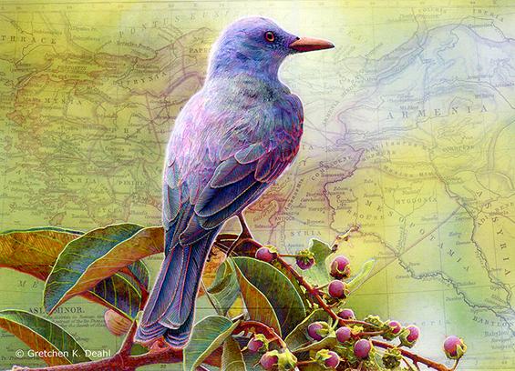 Set against a backdrop of an ancient map, colored in pale greens and golds, a purple-blue bird perches on a branch bursting with juicy red berries.