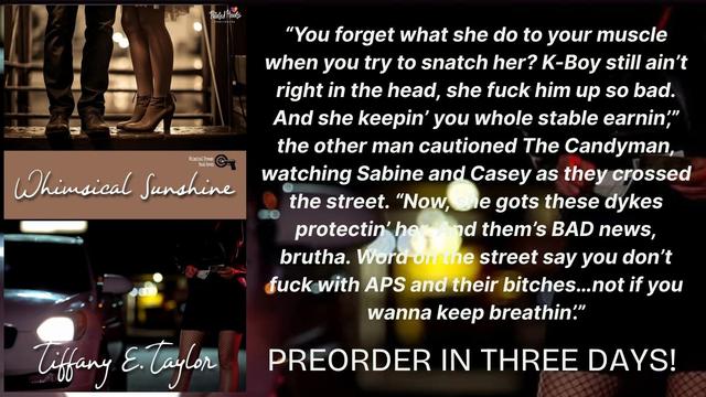 The book cover of Whimsical Sunshine by Tiffany E. Taylor on a background of a sex worker standing outside an open car window with a man’s hand holding cash reaching out, a short quote from the book, and the days to pre-order release.
