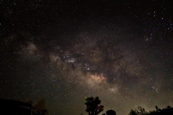 The Milky Way over a Joshua tree