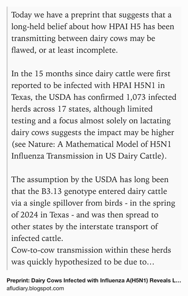 Text Shot: Today we have a preprint that suggests that a long-held belief about how HPAI H5 has been transmitting between dairy cows may be flawed, or at least incomplete. 

In the 15 months since dairy cattle were first reported to be infected with HPAI H5N1 in Texas, the USDA has confirmed 1,073 infected herds across 17 states, although limited testing and a focus almost solely on lactating dairy cows suggests the impact may be higher (see Nature: A Mathematical Model of H5N1 Influenza Transmission in US Dairy Cattle).

The assumption by the USDA has long been that the B3.13 genotype entered dairy cattle via a single spillover from birds - in the spring of 2024 in Texas - and was then spread to other states by the interstate transport of infected cattle.
Cow-to-cow transmission within these herds was quickly hypothesized to be due to contaminated milking machines, although other routes of infection could not be ruled out (see EID Journal: Persistence of Influenza H5N1 and H1N1…