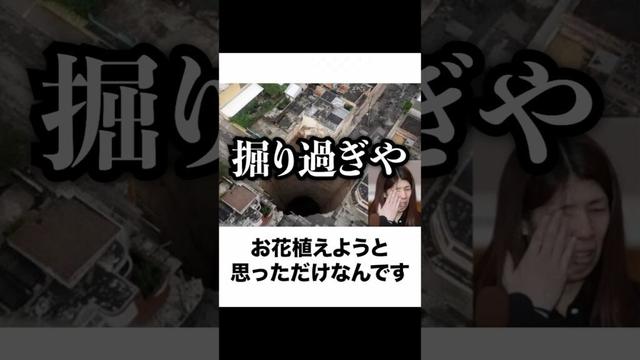 【霊長類最強】吉田沙保里の殿堂入りボケてがマジでツッコミどころ満載すぎたww 【ボケて】【5弾】【#shorts  】
