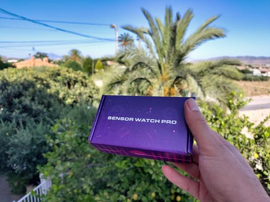I am holding up the shiny purple carton for the sensor watch pro in front of a lemon and date tree and bright blue sky.