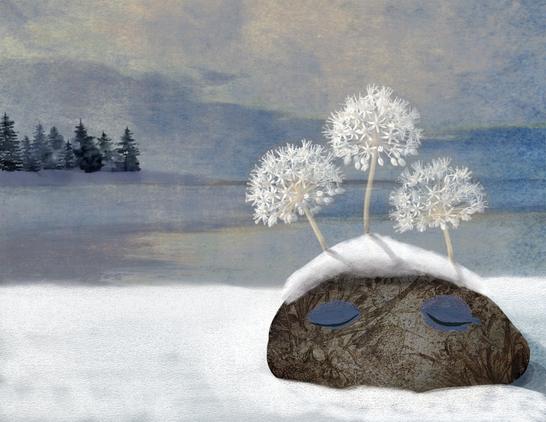 Pine trees line the distant shore of a lake, backlit against a stormy blue-gray sky. In the foreground, on a snowy bank, a solitary stone rests. Upon its face, two closed eyes and a linear pattern of foliage. Atop its gray head, a bit of snow and white, ghost-like blooming flowers from memories past.