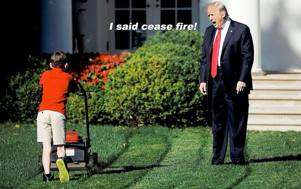 (Trump yelling at kid mowing the lawn)  I said cease fire!