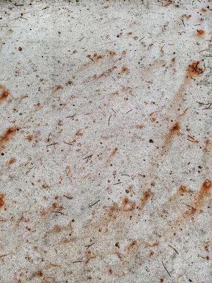 This image shows a section of concrete sidewalk, liberally covered with the stems an immature fruit from horse chestnut trees. Most of the latter have been crushed underfoot, leaving an abstract image of reds and browns over a pale gray canvas.