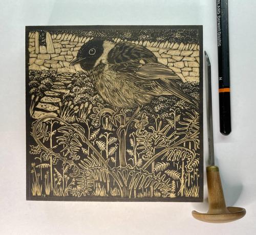 100x100mm lemonwood block engraved with a stonechat perched on a young, growing and unfurling, bracken frond, with a foreground of bracken and other plants, receding through shrubs along a path to a stile in a drystone wall, with more moorland beyond. The bird locks inquisitively at me. An engraving tool and a pencil are included for scale.