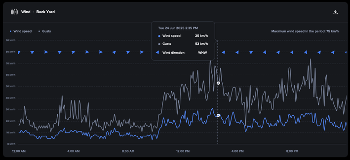 A wind graph for 24/6/2025 showing steady winds across the day increasing in intensity with gusts over 70kmh.