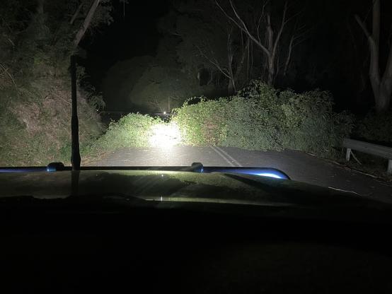 A fallen tree across a road illuminated by the headlights of my truck.