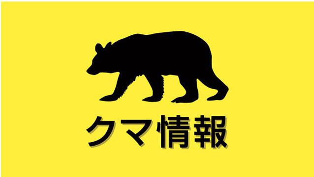 高速道にクマの死骸、親グマ注意呼びかけ 島根（中国新聞デジタル） - Yahoo!ニュース