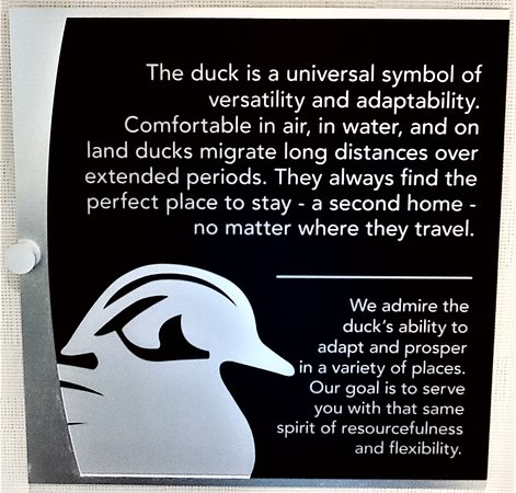 Sign from the front desk with a picture of said duck and the following text:

The duck is a universal symbol of versatility and adaptability. Comfortable in air, in water, and on land ducks migrate long distances over extended periods. They always find the perfect place to stay - a second home - no matter where they travel. 

We admire the duck's ability to adapt and prosper in a variety of places.  Our goal is to serve you with that same spirit of resourcefulness and flexibility.