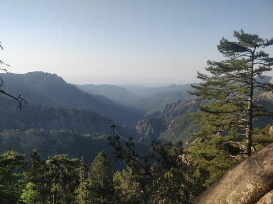 Photo de montagnes et de forêts de pins
