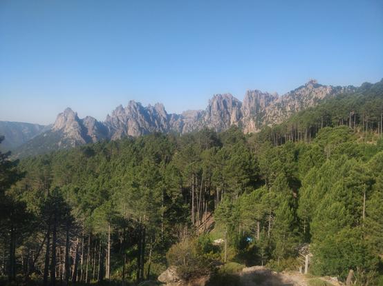 Photo de montagnes et de forêts de pins