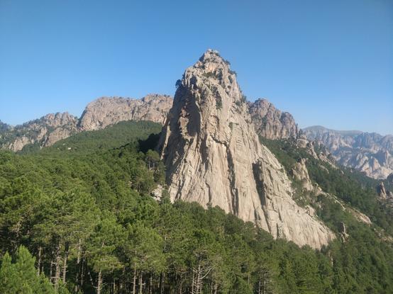 Photo de montagnes et de forêts de pins