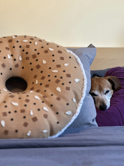 a dachshund-mix's head is visible amidst a pile of pillows on a bed. One of the pillows is a giant everything bagel with cream cheese shape.
