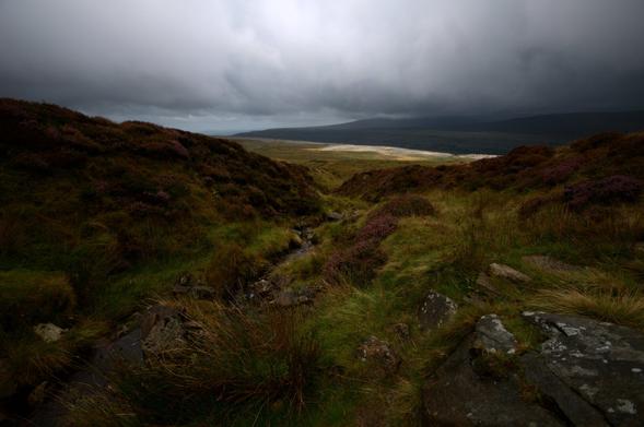 Low clouds over a colourful landscape. There is a dark grey mountain in the background. The foreground is full of plants in green, red brown, and dark yellow.