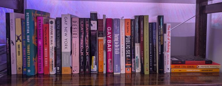 book organizing ( the gay and political and some other stuff zone )
